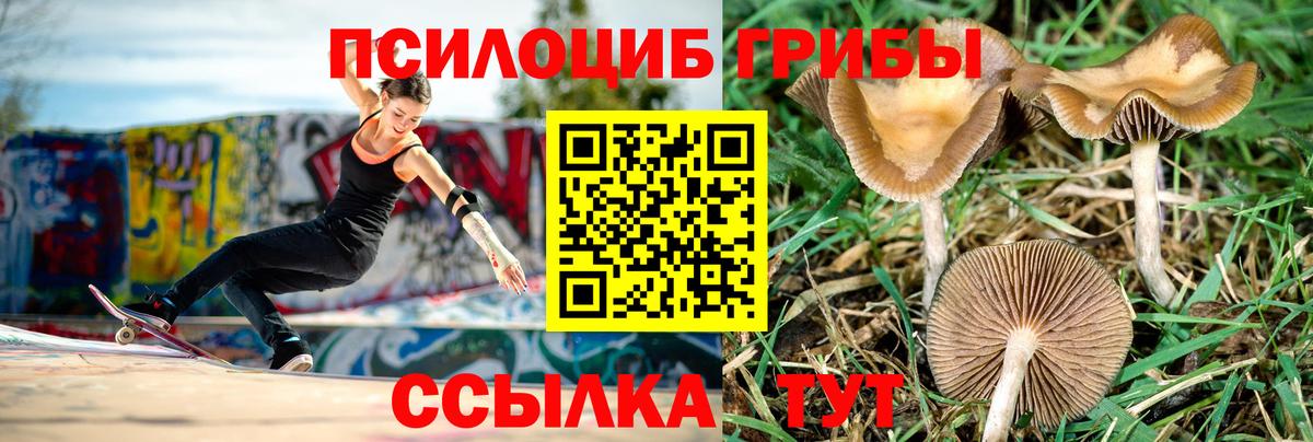 Галлюциногенные грибы мицелий Усолье-Сибирское