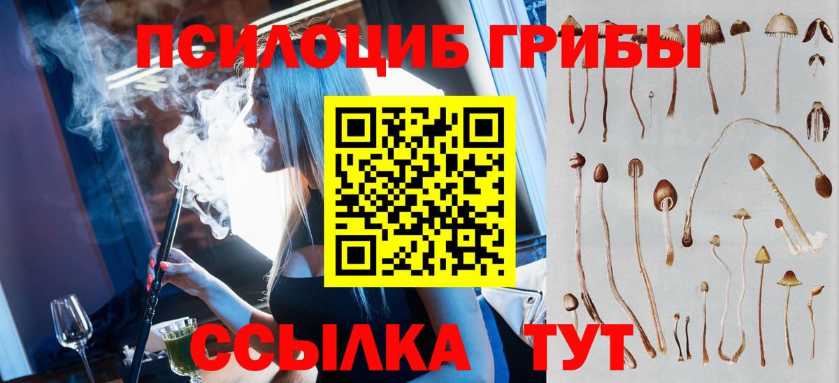 Усолье-Сибирское  Галлюциногенные грибы Psilocybine cubensis  Вход с VPN 